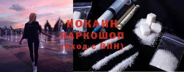 индика Алексеевка