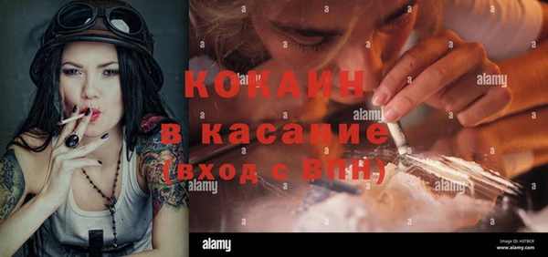 индика Алексеевка