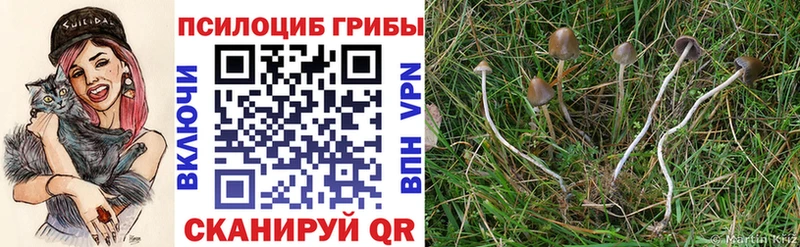 blacksprut маркетплейс Долинск Галлюциногенные грибы мухоморы
